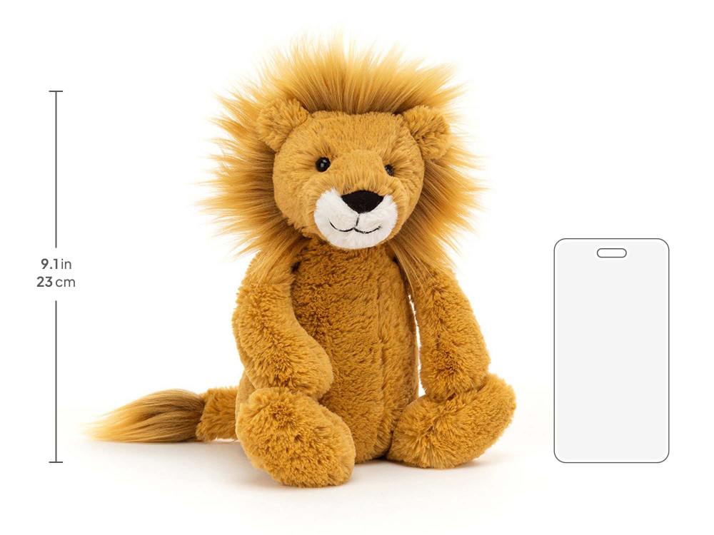 Bashful Lion - Image 10