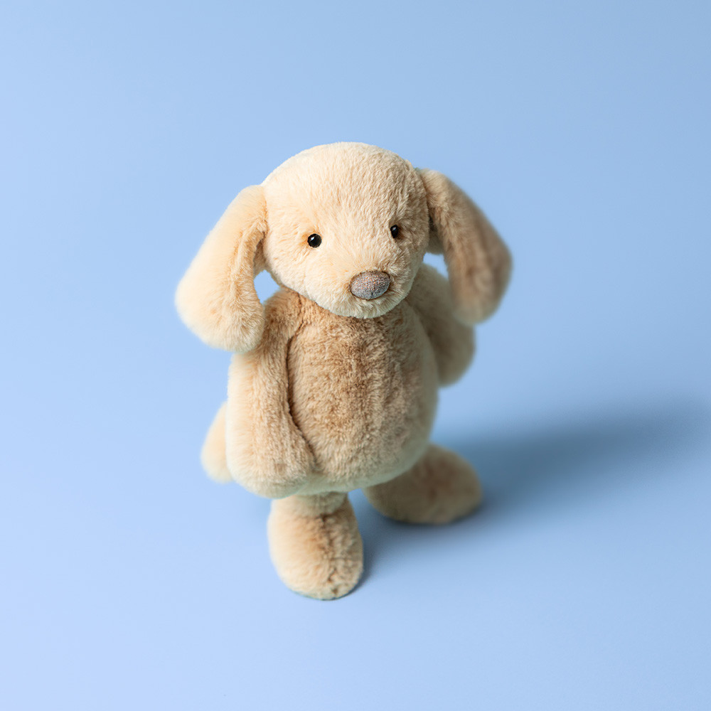 Bashful Luxe Puppy Orlando - Image 2