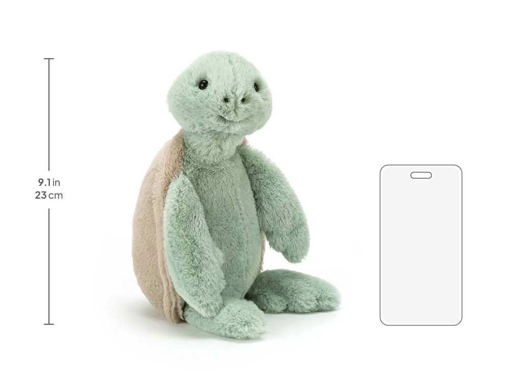 Bashful Turtle - Image 10