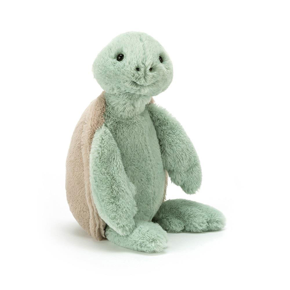 Bashful Turtle - Image 4