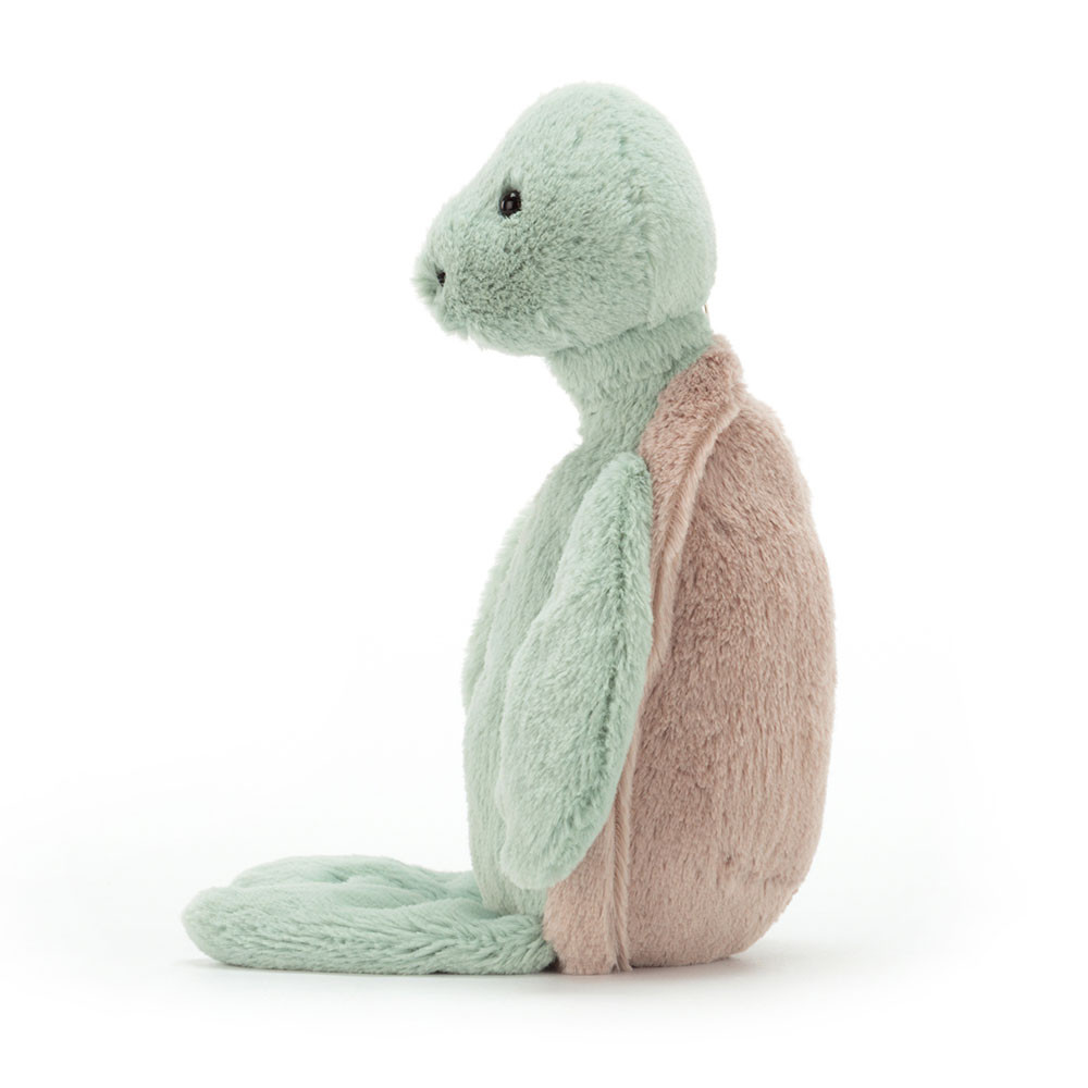 Bashful Turtle - Image 2
