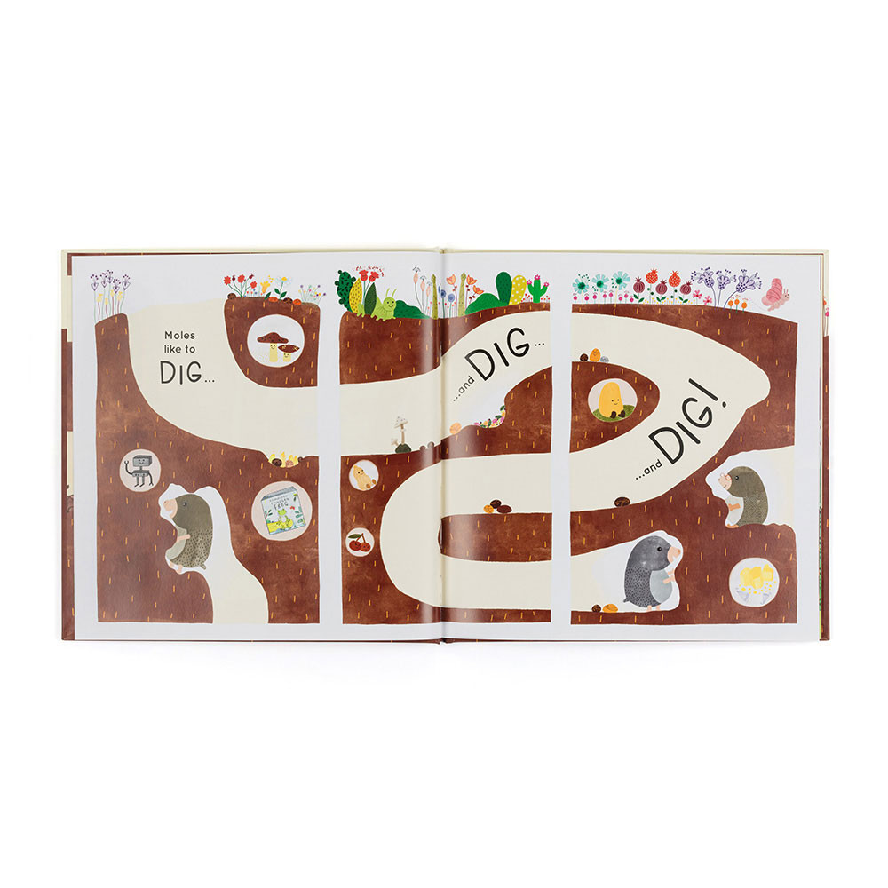 Muswell Mole and the Buried Treasure Book - Image 2