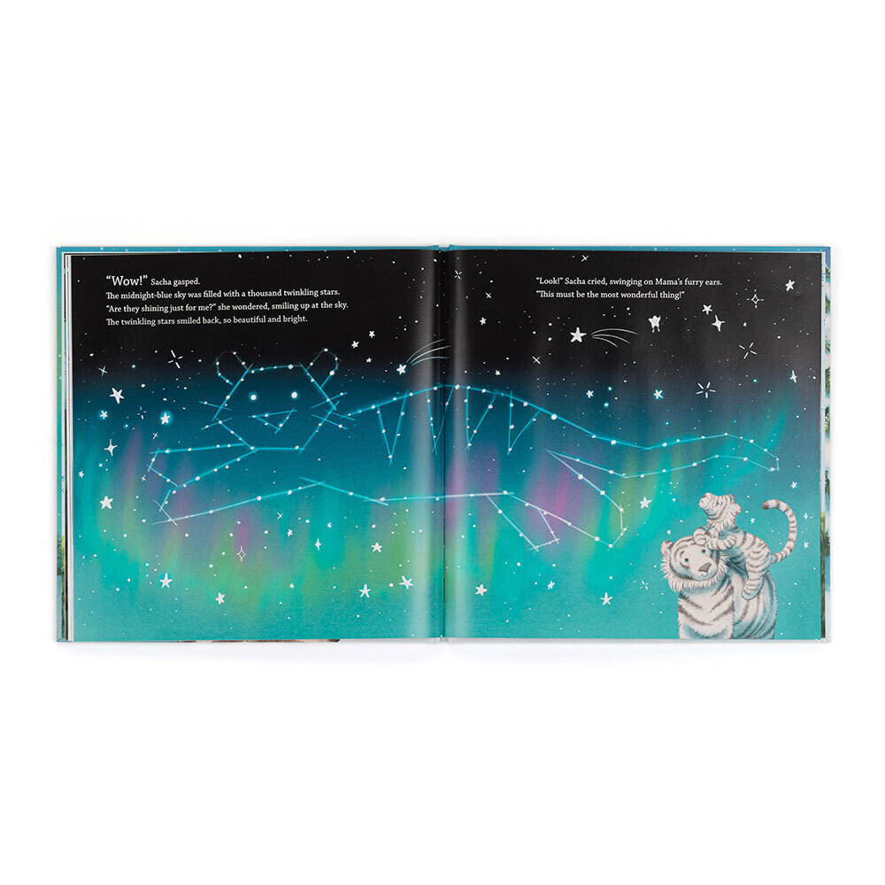 Sacha and the Most Wonderful Thing Book - Image 3