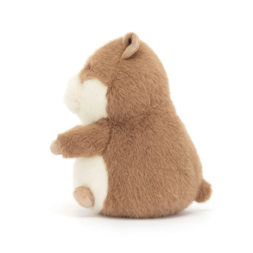 Gordy Guinea Pig - Image 2