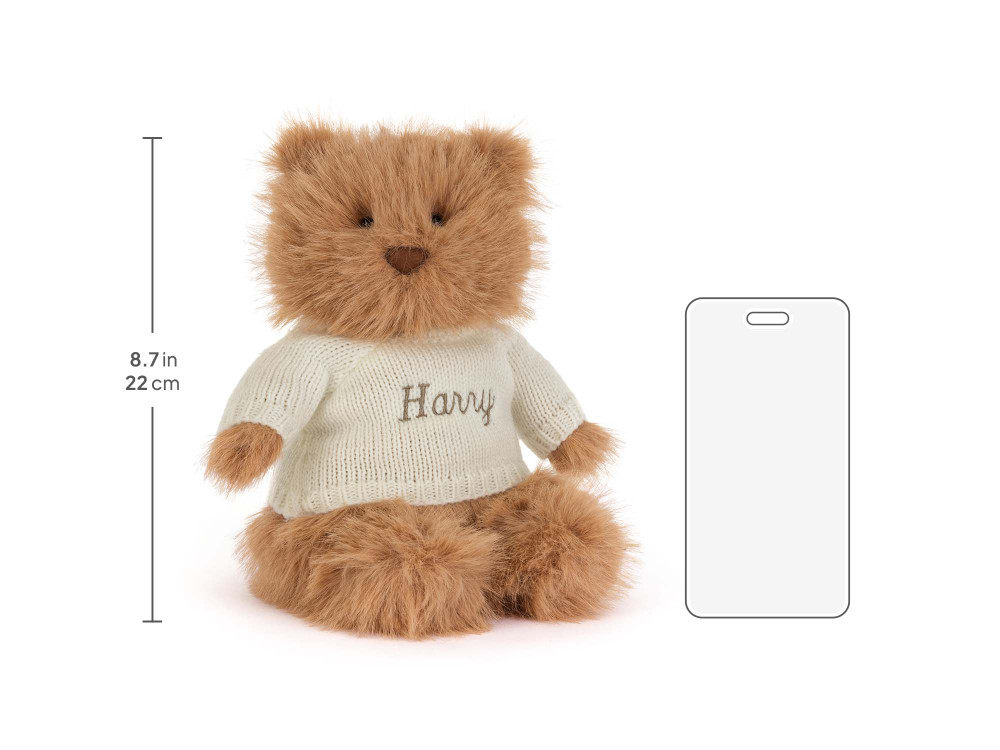 Bartholomew Bear Bouffant with Personalized Cream Jumper - Image 6