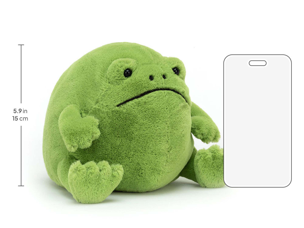 Ricky Rain Frog - Image 17