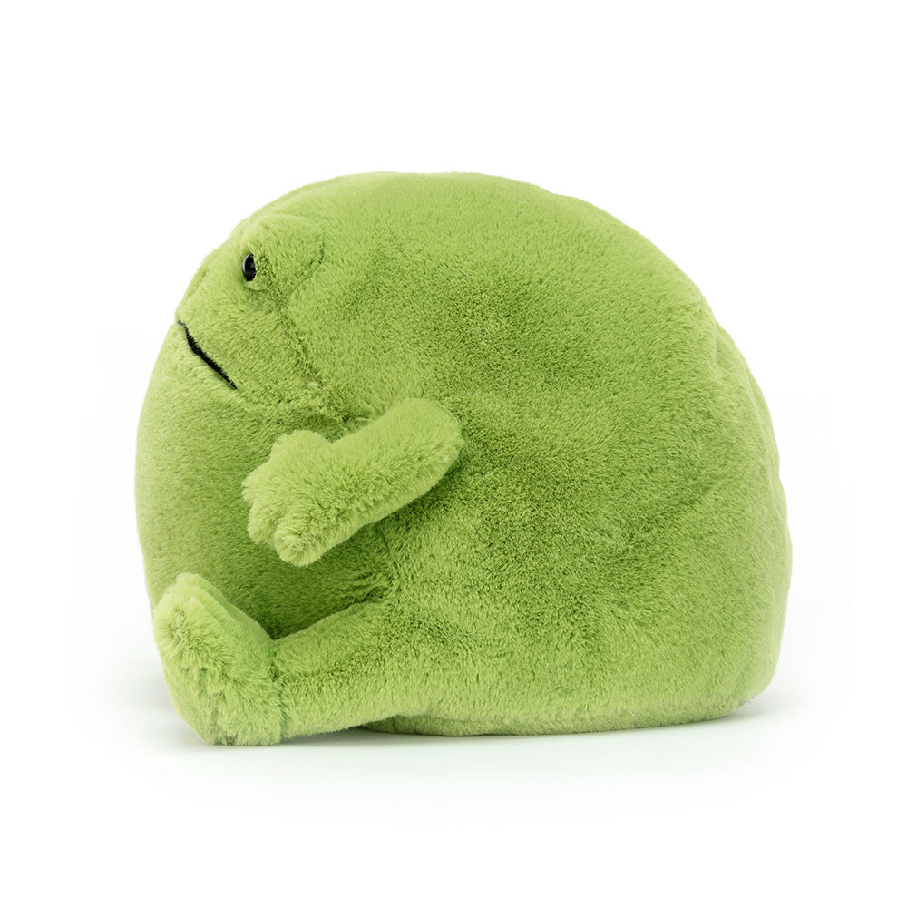Ricky Rain Frog - Image 4