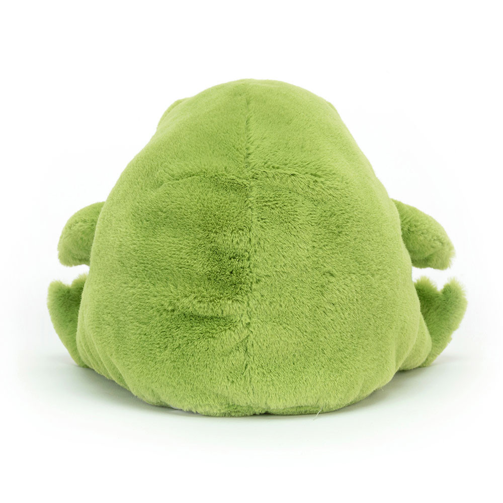 Ricky Rain Frog - Image 9