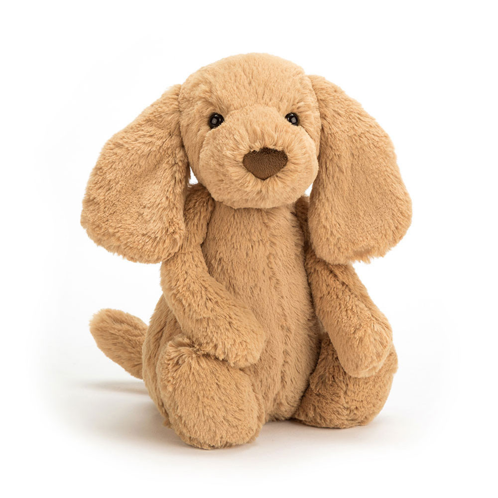 If I Were a Dog Board Book & Bashful Toffee Puppy Medium - Image 7