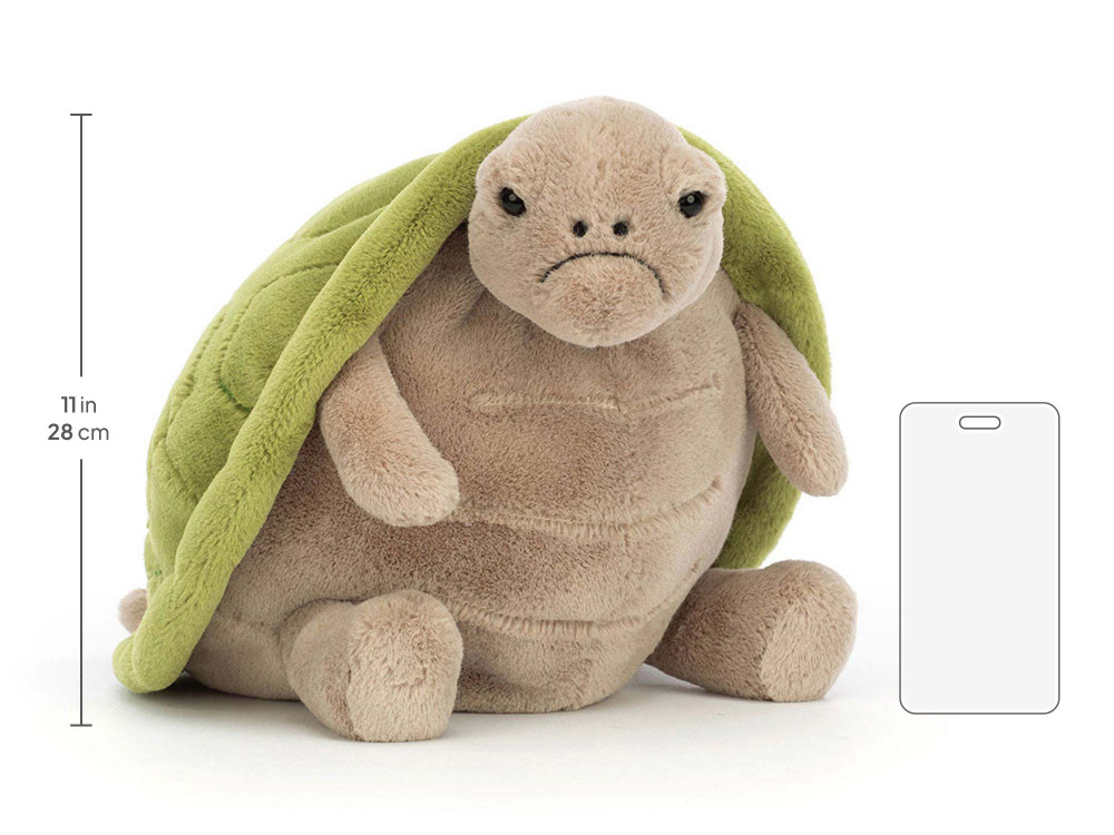 Timmy Turtle - Image 10